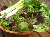 How to Make Easy BBQ Salads