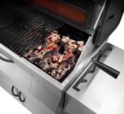 Napoleon Charcoal Professional Barbecue