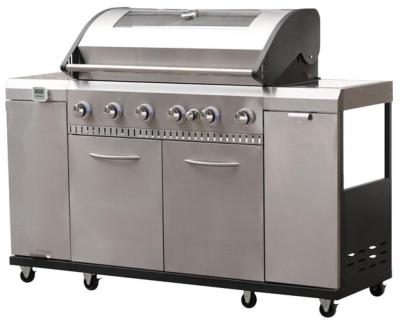  6.1 Stainless Steel Gas Barbecue 3498