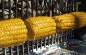 How to BBQ Corn on the Cobb Recipe