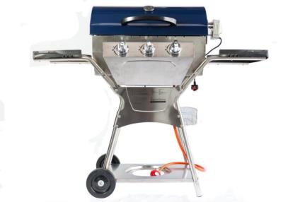 Deluxe Stainless Steel Barbeskew A Revolutionary Gas Rotisserie BBQ