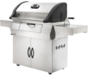 Napoleon Charcoal Professional Barbecue