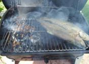 Step by Step Guide to Smoking Food on Your BBQ