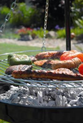 landmann tripod charcoal barbecue