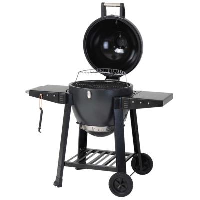 Dragon Egg Charcoal Barbecue With Free Cover