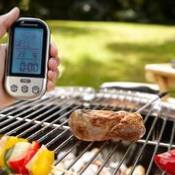 Landmann Wireless BBQ Thermometer